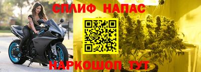 СК Ачхой-Мартан