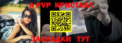 СК Ачхой-Мартан