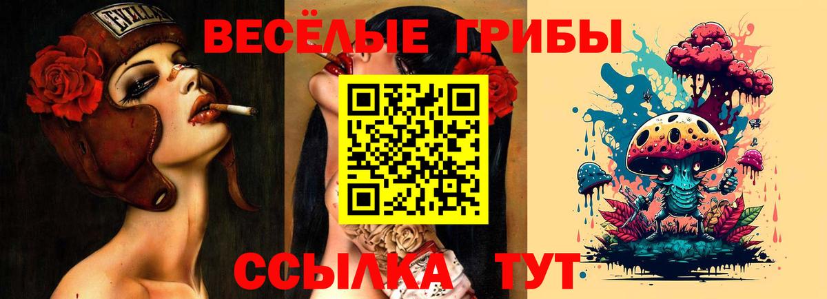 Псилоцибиновые грибы ЛСД  Вход с VPN  Псилоцибиновые грибы Magic Shrooms  Гурьевск 